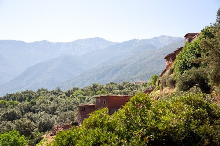 Explore Ouirgane: Full-Day Atlas Hike, Market & Berber Lunch from Marrakech photo 4