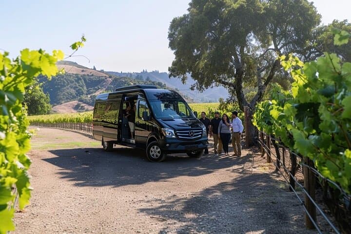 Explore Santa Barbara, Solvang & Wine Country: Private Day Tour from Los Angeles photo 3