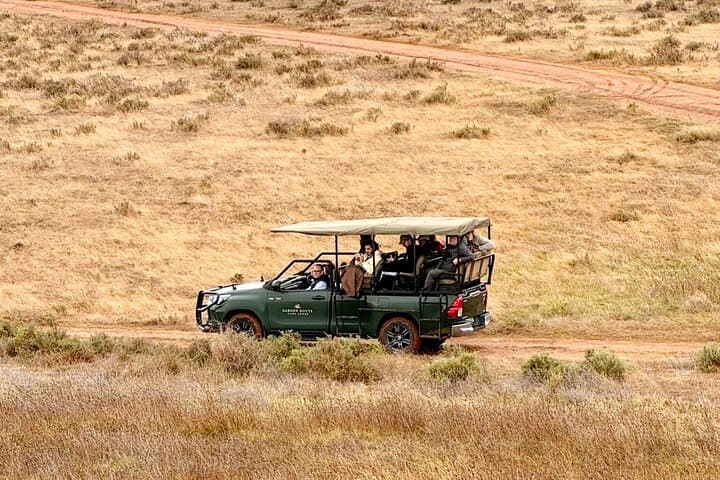 2-Day Garden Route Big Five Safari from Cape Town photo 4
