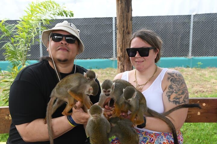 Monkey Interaction and Damajagua Waterfalls: Puerto Plata Day Adventure photo 5
