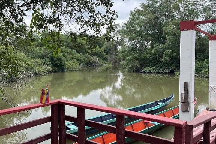 Churute Mangrove Reserve & Cocoa Farm Day Trip from Guayaquil photo 5