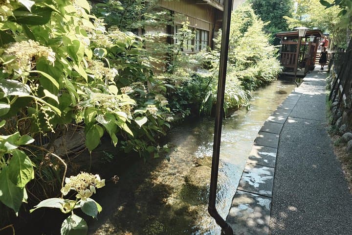 Explore Gujo-Hachiman: Castle, Waterways & Traditional Crafts Day Trip from Nagoya