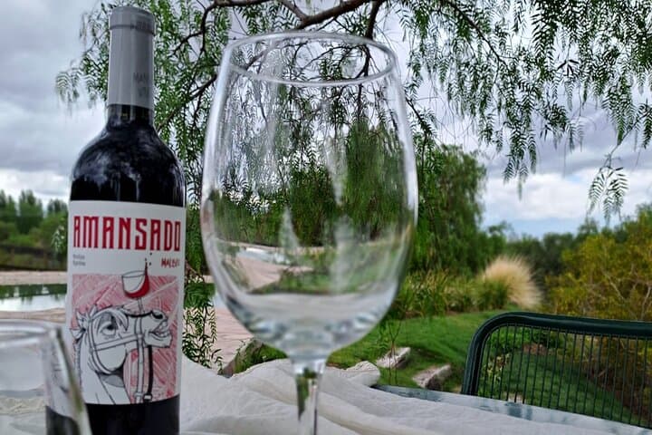 Horseback Through Mendoza Vineyards: Winery Ride, Tasting & BBQ photo 2