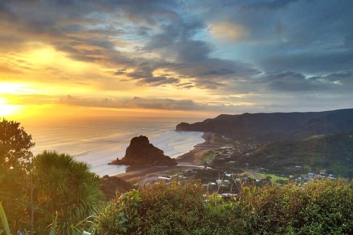 Piha Beach Private Tour — West Coast Discovery from Auckland photo 6