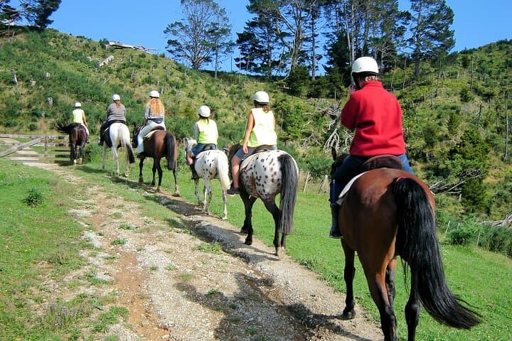 Brick Bay Private Tour: Horse Riding, Wine Tasting & Sculpture Trail near Auckland photo 6