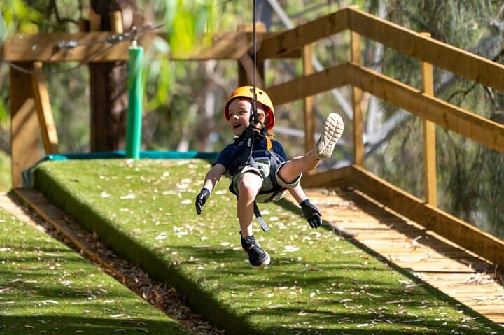 Kids Tree-Top Course in Salisbury: Safe Zipline & Aerial Play for Young Climbers photo 3