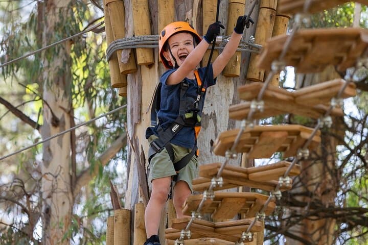 Kids Tree-Top Course in Salisbury: Safe Zipline & Aerial Play for Young Climbers