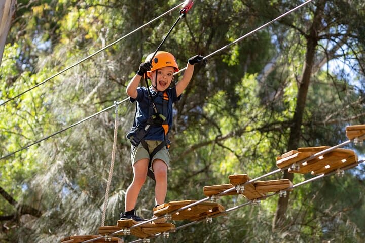 Kids Tree-Top Course in Salisbury: Safe Zipline & Aerial Play for Young Climbers photo 2