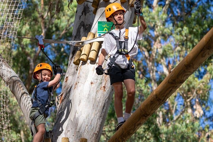 Kids Tree-Top Course in Salisbury: Safe Zipline & Aerial Play for Young Climbers photo 4