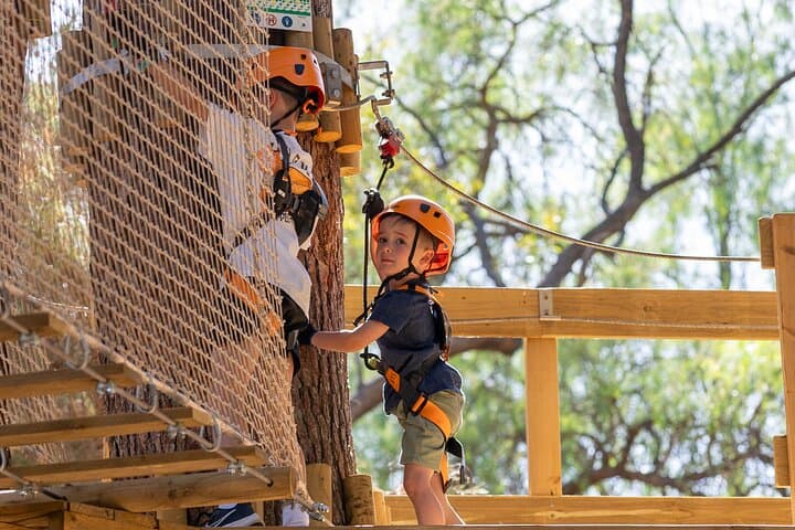Kids Tree-Top Course in Salisbury: Safe Zipline & Aerial Play for Young Climbers photo 6