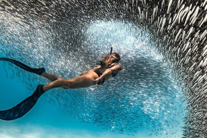 7-Day Maldives Snorkel Escape: Maafushi Beaches, Dolphins & Sandbar Adventures