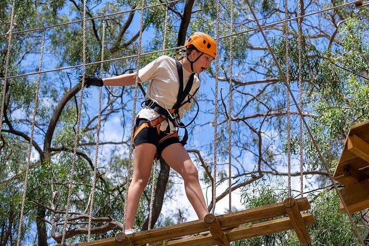 Salisbury Treetops Grand Course: High-Ropes Challenge & Zipline Adventure Near Adelaide photo 2