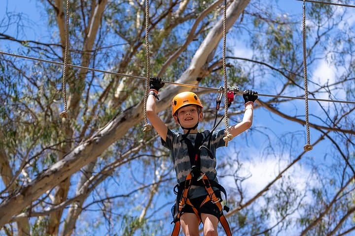 Salisbury Treetops Grand Course: High-Ropes Challenge & Zipline Adventure Near Adelaide photo 3
