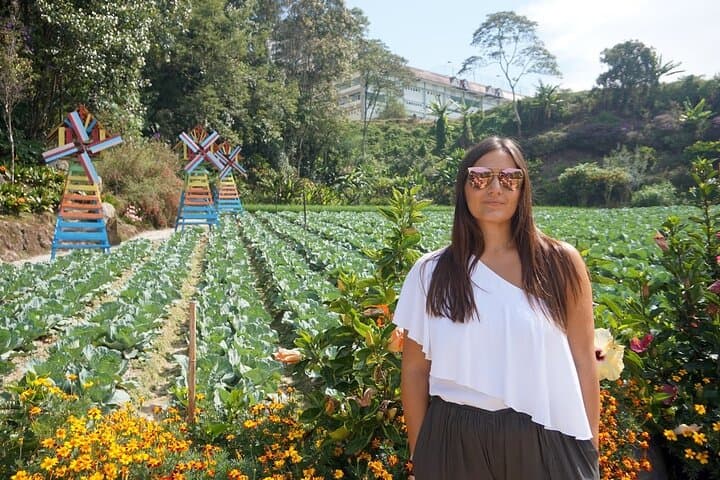 Cameron Highlands Day Tour: Tea Gardens, Waterfalls & Strawberry Farms photo 4