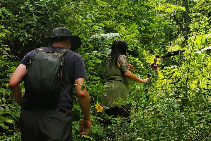 Shangri-La Monkey Journey: Yunnan Snub-Nosed Monkey & Conservation Trek photo 2