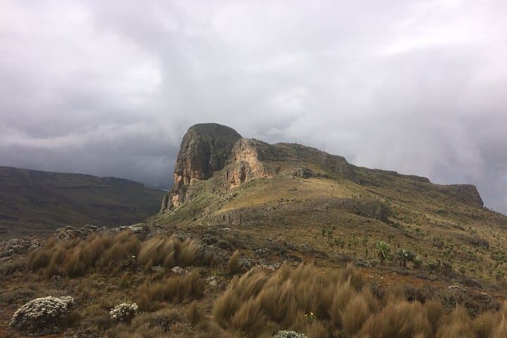 3-Day Mount Elgon Hike to Wagagai Peak: Summit Camping, Moorland & 360° Views photo 3
