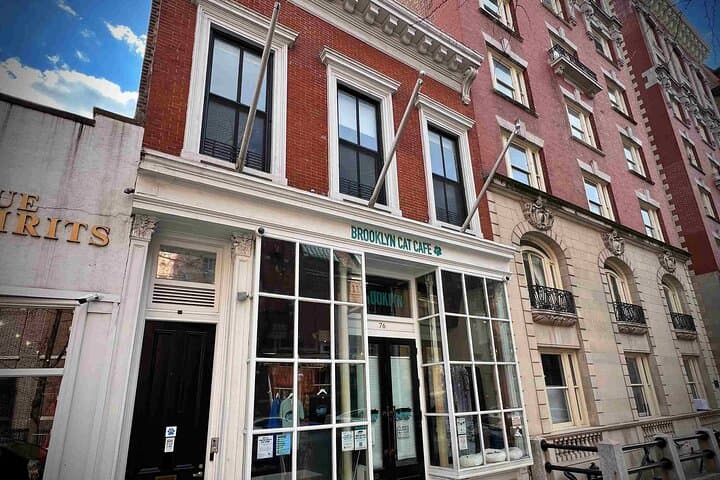 Brooklyn Heights Self-Guided Tour: Splendor & Scandal Walking Route photo 4