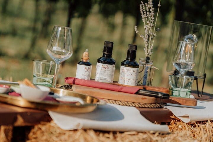 Istria Wine & Vinegar Tasting at Tenuta Tre Terre: A Taste of Coastal Croatia