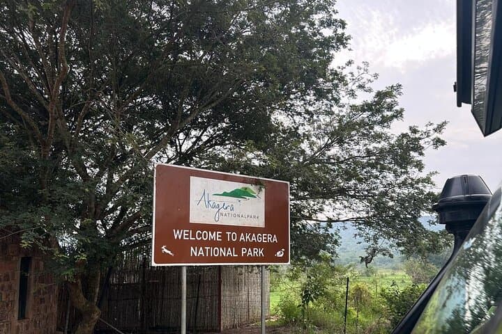 Full-Day Akagera Safari: Big Five Game Drive and Lake Ihema Boat Cruise