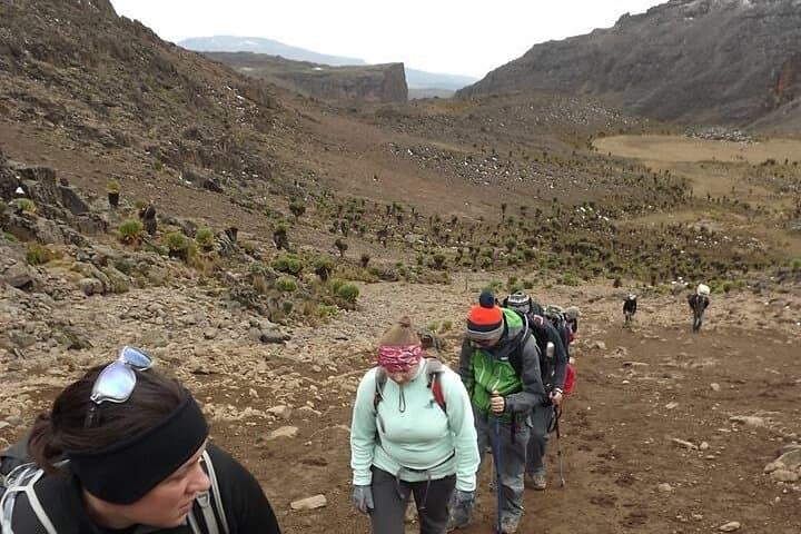 Five-Day Mount Kenya Climb via Sirimon Route — Summit Point Lenana from Sirimon Gate photo 3