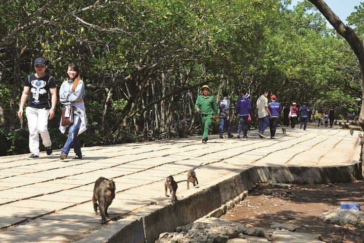 Private Vam Sat Biosphere & Can Gio Mangrove Exploration from Ho Chi Minh City