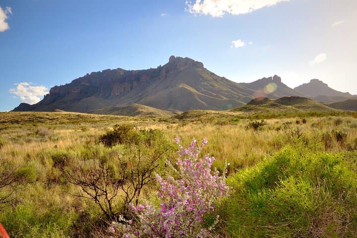 Explore Big Bend by Car: Self-Guided Driving Audio Tour of Big Bend National Park photo 3