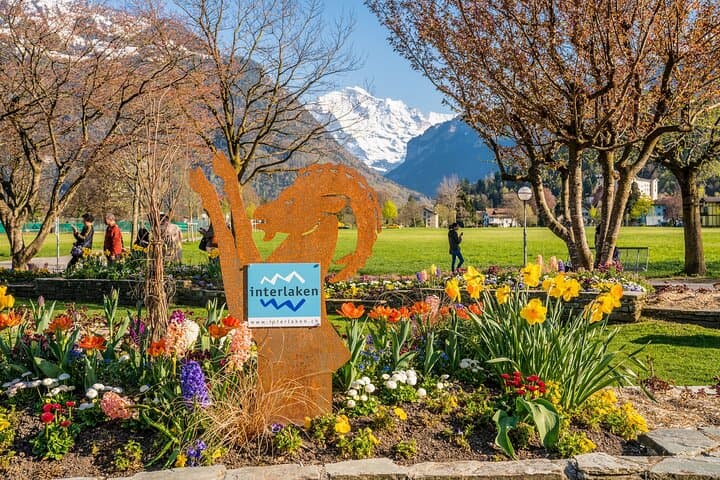Zurich to Lucerne and Interlaken – Private Day Trip to Swiss Lakes & Alps