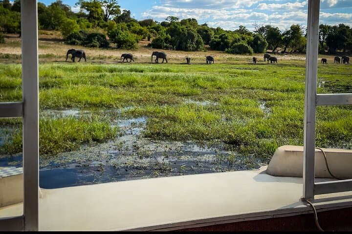 Victoria Falls to Chobe: 4-Day All-Inclusive Safari, Devil's Pool & Helicopter photo 4