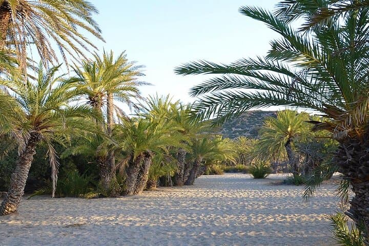 Vai Palm Beach Day Trip from Heraklion: Palm Forest, Swimming & Hidden Coves photo 3