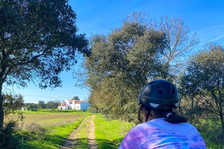 3-Day Self-Guided Bike Tour in Alentejo: Évora to Monsaraz with Hotels & Luggage Transfer
