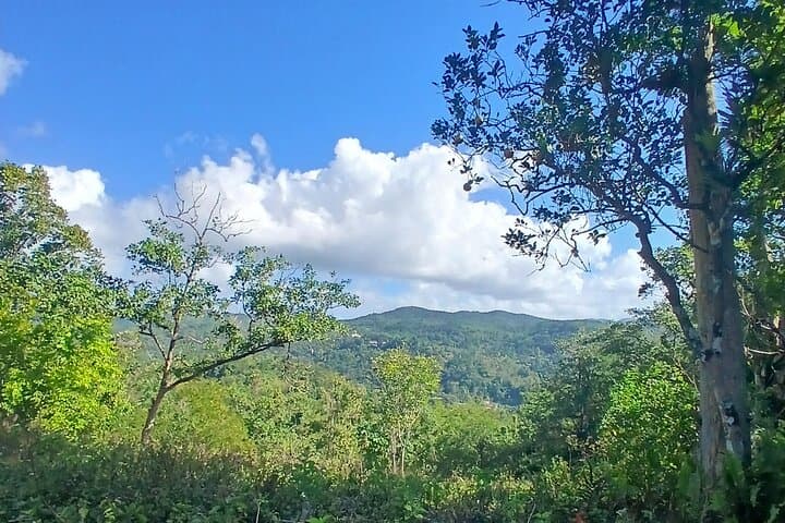 Lethe Mountain Valley Hiking: Montego Bay Nature Walk to Springs & Waterfall