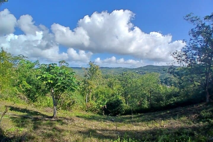 Lethe Mountain Valley Hiking: Montego Bay Nature Walk to Springs & Waterfall photo 2