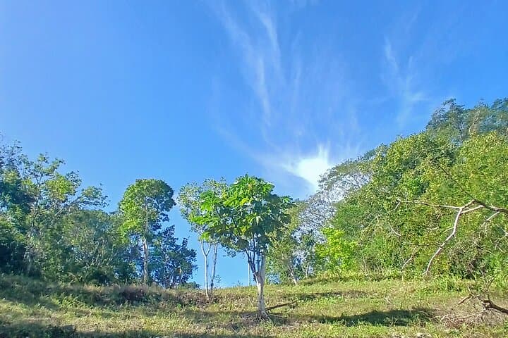 Lethe Mountain Valley Hiking: Montego Bay Nature Walk to Springs & Waterfall photo 3