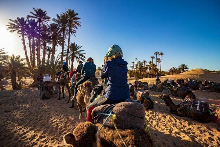 Sunset Camel Ride and Moroccan BBQ in Agadir: Eucalyptus Trails & Souss River Views photo 2