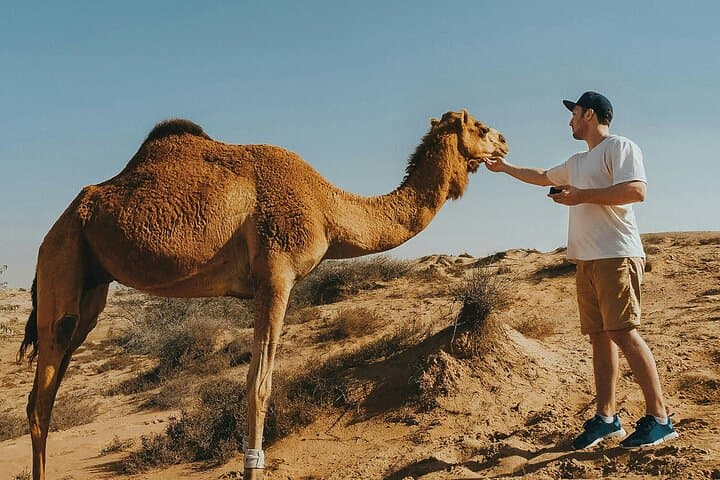 Sunset Camel Ride and Moroccan BBQ in Agadir: Eucalyptus Trails & Souss River Views photo 5