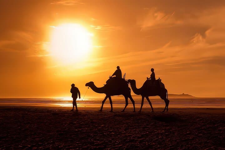 Sunset Camel Ride and Moroccan BBQ in Agadir: Eucalyptus Trails & Souss River Views