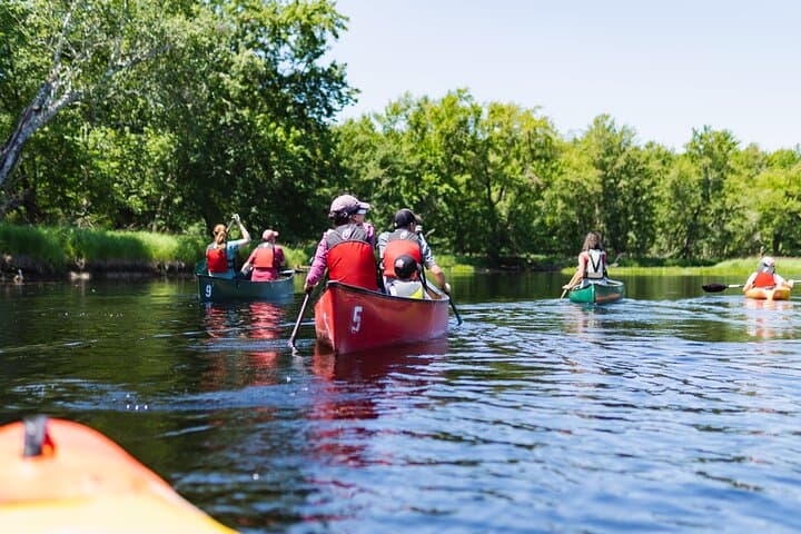 Mersey River Quickie Adventure: 2-Hour Canoe & Kayak Paddle in Kejimkujik