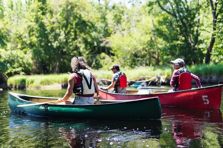 Mersey River Quickie Adventure: 2-Hour Canoe & Kayak Paddle in Kejimkujik photo 3