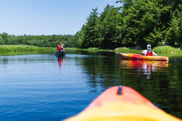 Mersey River Quickie Adventure: 2-Hour Canoe & Kayak Paddle in Kejimkujik photo 4