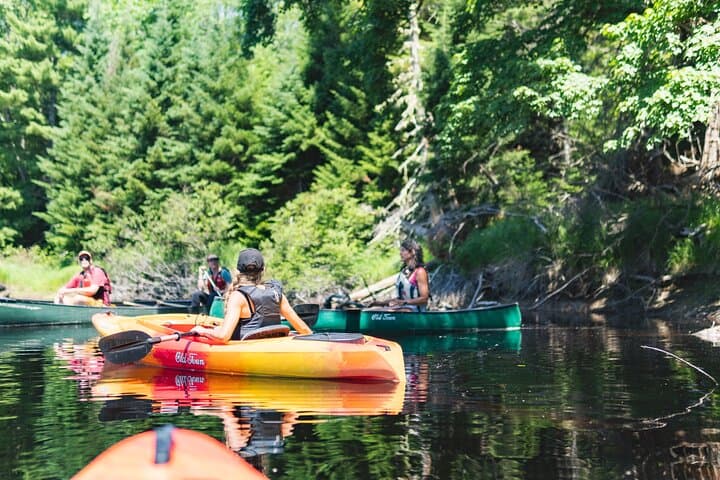 Mersey River Quickie Adventure: 2-Hour Canoe & Kayak Paddle in Kejimkujik photo 5