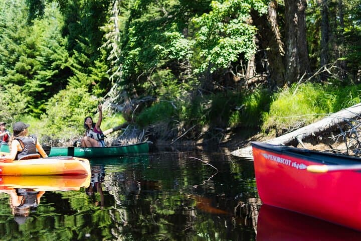Mersey River Quickie Adventure: 2-Hour Canoe & Kayak Paddle in Kejimkujik photo 6
