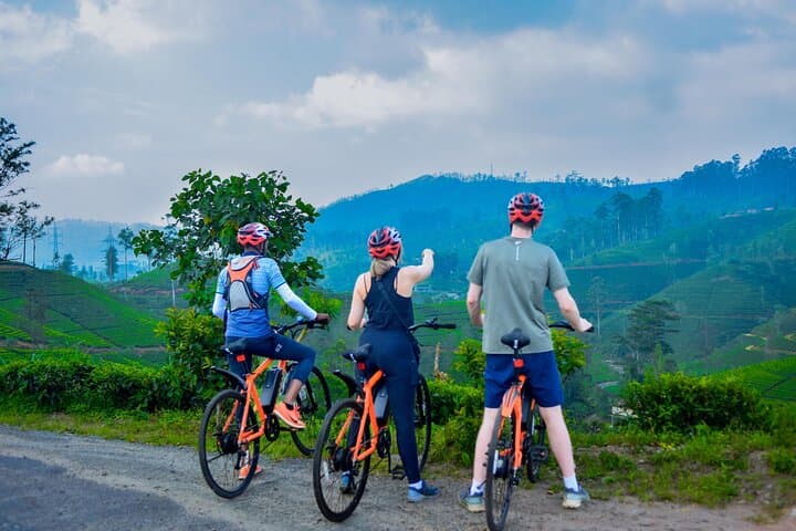Tea Loops E-Biking: Electric Ride Through Central Sri Lanka’s Tea Plantations photo 2