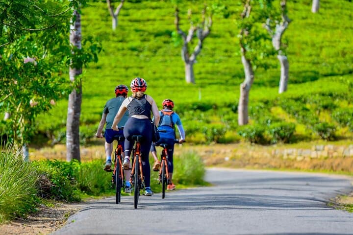 Tea Loops E-Biking: Electric Ride Through Central Sri Lanka’s Tea Plantations photo 5
