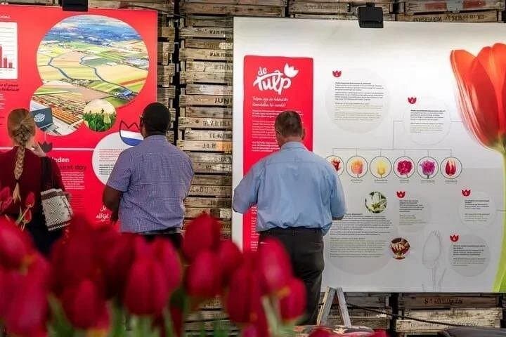 Family-Friendly Tulip Fields Tour in Lisse — Private Half-Day with Kids Activities photo 3