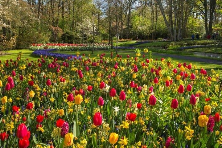 Keukenhof to Volendam: Private Day Tour from Amsterdam — Tulips, Windmills & Cheese