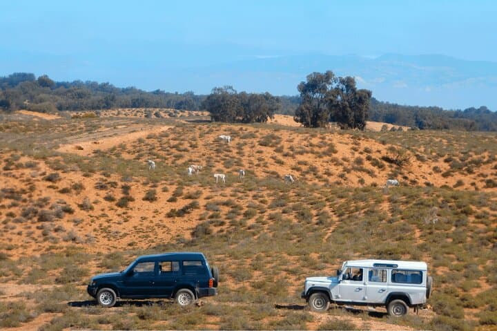 Agadir National Park & Mini Sahara Day Trip — Massa, Berber Villages & Coastal Safari photo 5