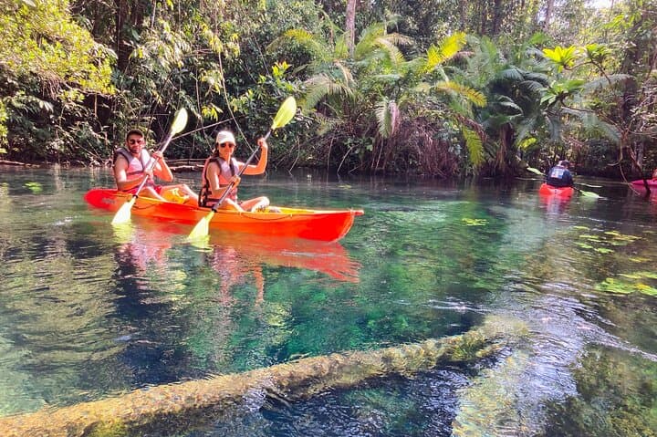 Kayaking Khlong Nam Sai: Crystal-Lagoon Day Trip from Krabi photo 2