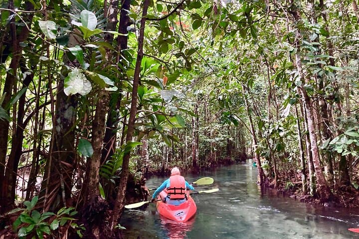 Kayaking Khlong Nam Sai: Crystal-Lagoon Day Trip from Krabi photo 6