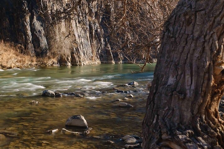 One-Day Charyn Canyon and Kolsay Lake Adventure from Almaty photo 5