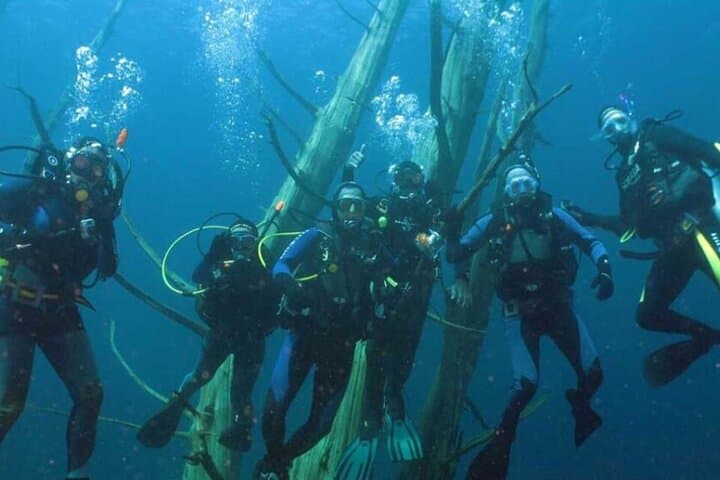 Beginner Scuba Diving in Lago Moreno Bariloche — Baptism Dive on Nahuel Huapi photo 4